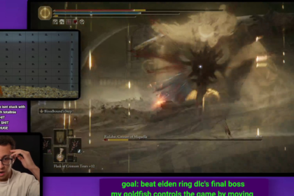This goldfish beat the Elden Ring DLC’s final boss on Twitch