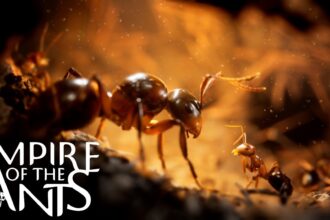 Empire of the Ants Interview – Environments, Visuals, Difficulty, and More