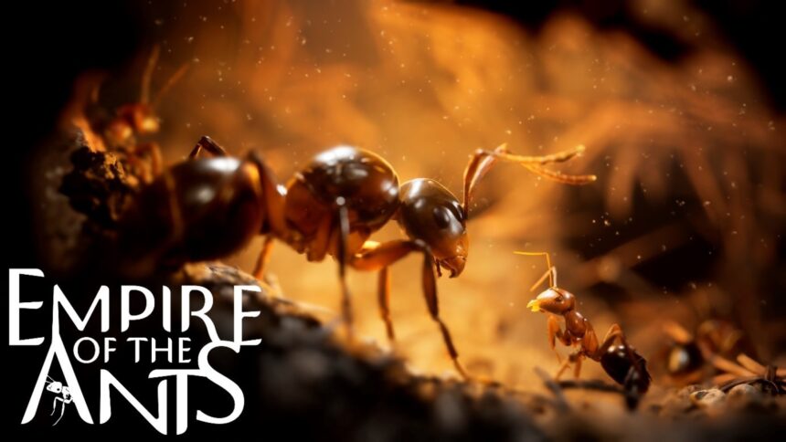 Empire of the Ants Interview – Environments, Visuals, Difficulty, and More