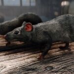 The best way to make Skyrim more realistic? Rats 