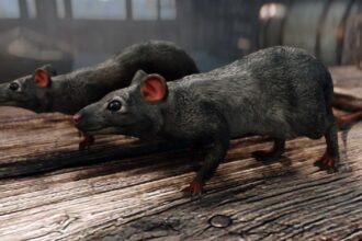 The best way to make Skyrim more realistic? Rats 