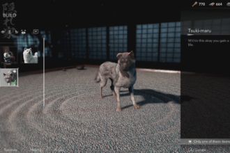 By the way, you can have a ton of pets in Assassin’s Creed Shadows