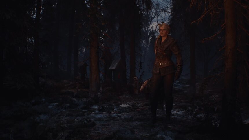 the witcher 4