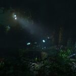 SOMA