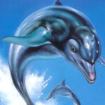 ecco the dolphin
