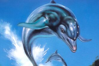 ecco the dolphin