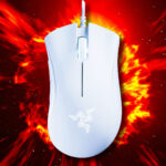 Grab a Razer Deathadder gaming mouse for under 20 bucks, if you're quick
